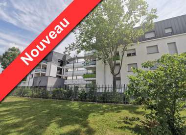 Appartement 2 Pièces 45 m²