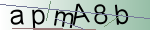 Captcha anti-spam