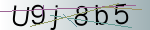 Captcha anti-spam